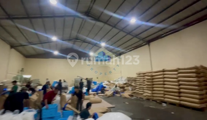 Warehouse for Rent in Pagedangan - Tangerang