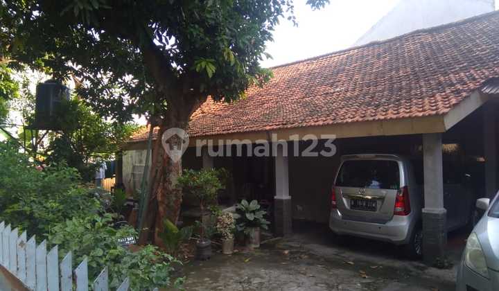 Corner Residential House Position Near Station and Schools