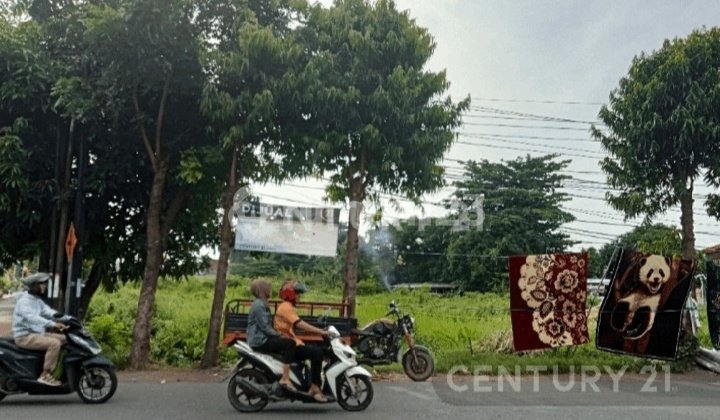 Large, Strategic Land, and Close to Public Facilities in Tegal City