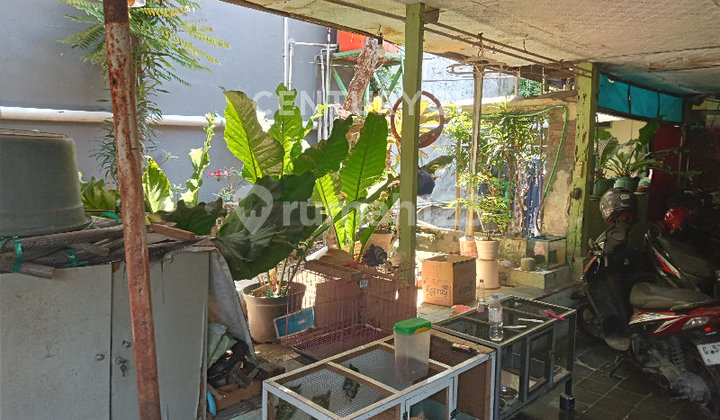 Rumah Luas dan Strategis di Tengah Kota Tegal 2