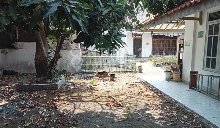 Spacious, Comfortable, and Strategic House in Tegal City 2