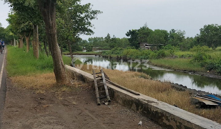 Tanah Pertanian Lokasi Strategis dan Asri Siap di Kelola