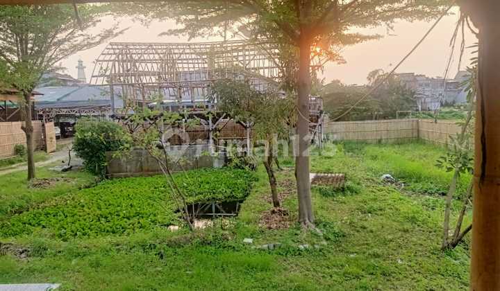 Tanah Murah di Jakarta Timur Tanah Murah di Jakarta Timur