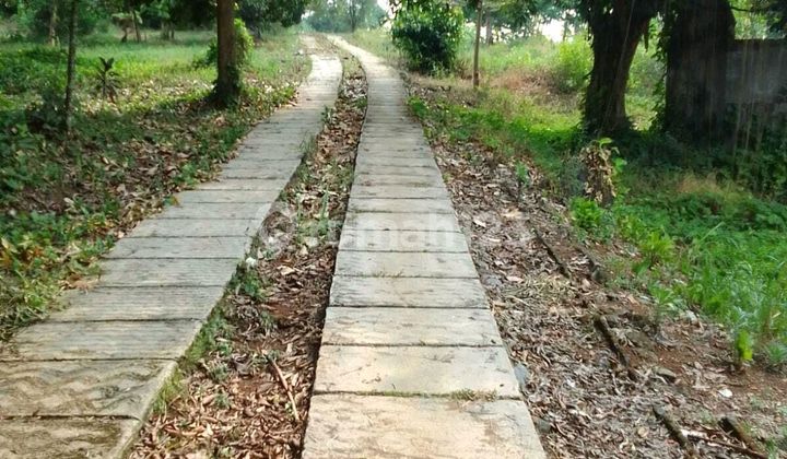 Tanah Dijual Jalan Raya Parung