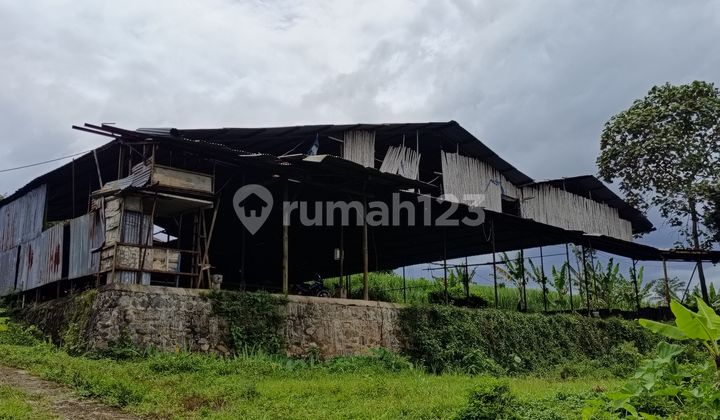 Dijual Tanah Industri Jl Raya Jabung Pakis Malang SHM