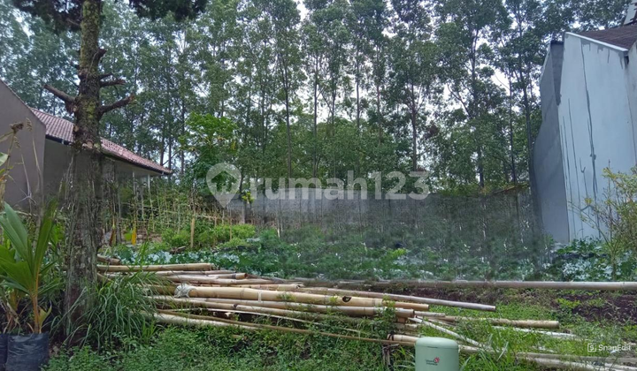 Strategic Land in Setraduta North Bandung Suitable for Exclusive Residences Strategic Land in Setraduta North Bandung Suitable for Exclusive Residences