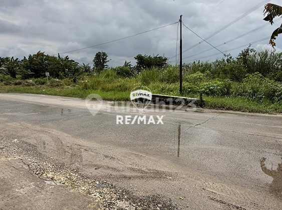 Land for Sale on the Edge of Maja Main Road, Banten