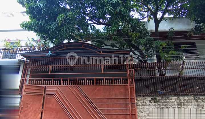 Rumah Bagus SHM Siap Huni di Jelambar Jakarta Barat Rumah Bagus SHM Siap Huni di Jelambar Jakarta Barat