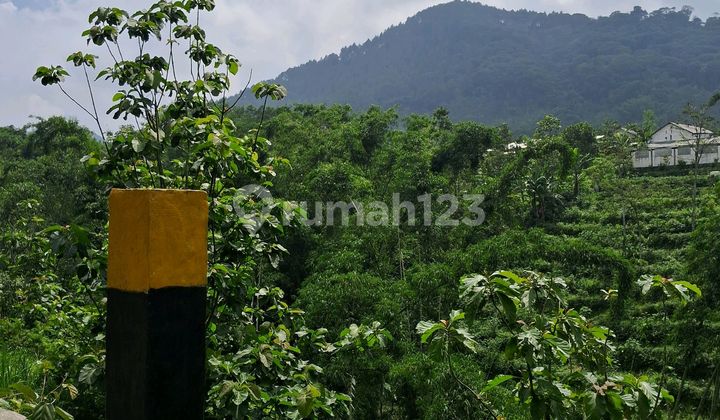 Tanah Dataran Tinggi Luas 2.254 M² View Pegunungan & Udara Sejuk Tanah Dataran Tinggi Luas 2.254 M² View Pegunungan & Udara Sejuk