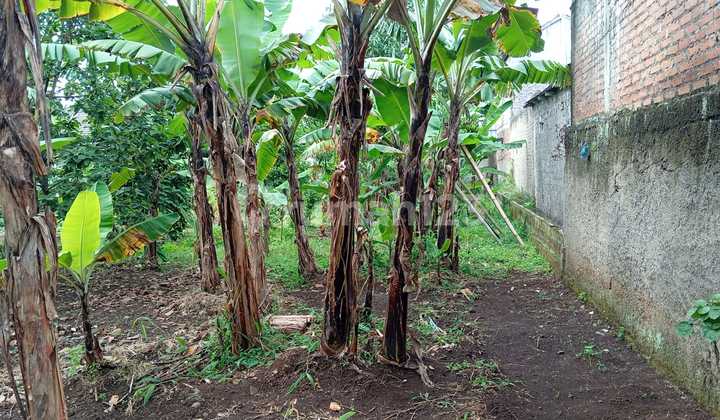 Ciawitali Land Citeureup Cimahi 5 Minutes to City Hall, Buyer's Costs Included. Ciawitali Land Citeureup Cimahi 5 Minutes to City Hall, Buyer's Costs Included.