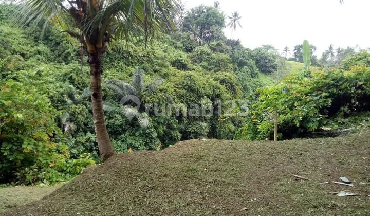 Dijual Tanah Strategis di Ubud. View Lembah, Loss Sungai Petanu, Jalan Utama Ubud Bali