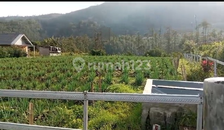 Fertile Garden with Mountain View Fertile Garden with Mountain View