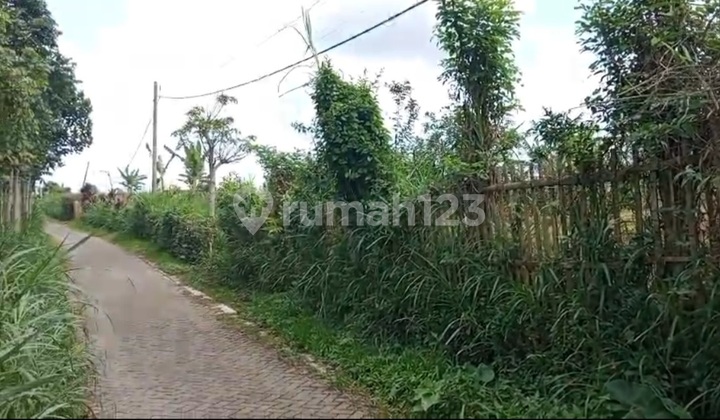 Fertile Garden with Cool Air Fertile Garden with Cool Air