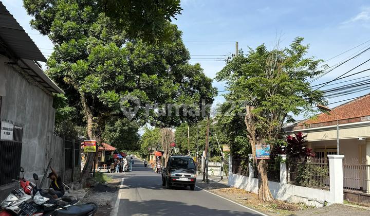 Productive Rentals in Downtown 1