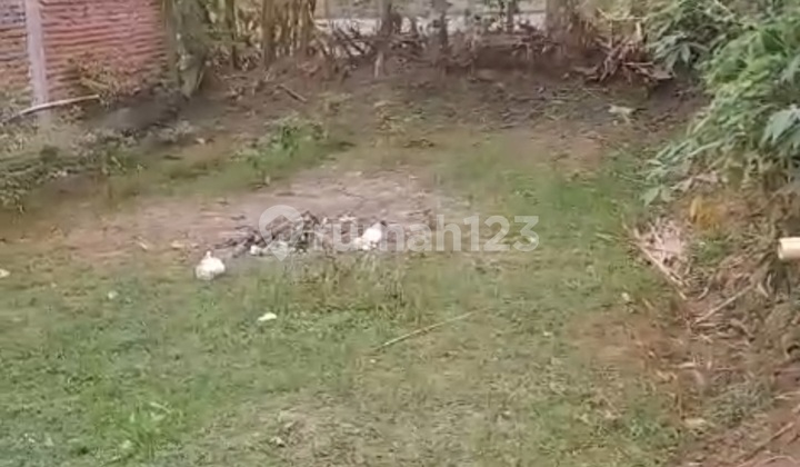 Cheap Land Ready to Build