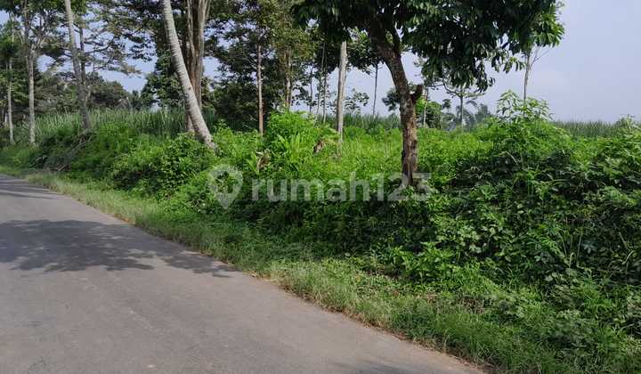 Cheap Garden Easy Access Cheap Garden Easy Access