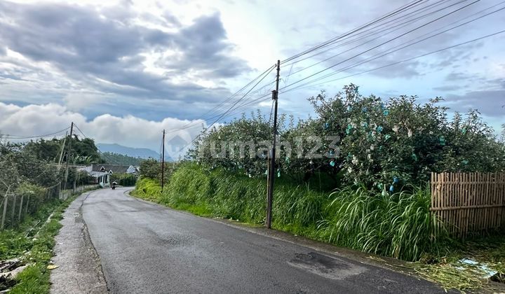 Kebun Subur View Bagus Kebun Subur View Bagus