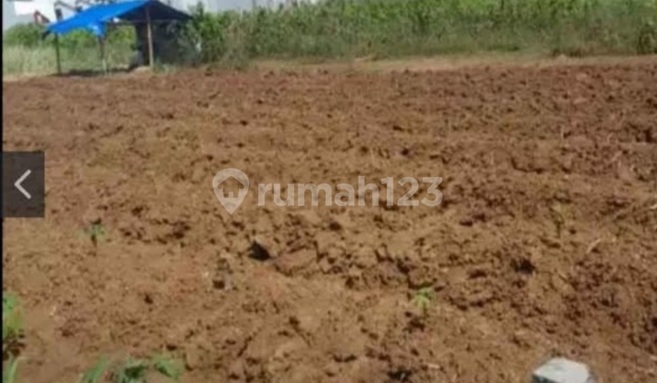 Tanah Murah Dekat Kampus