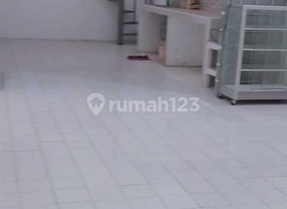 Disewakan Rumah 1.5 Lt Siap Huni Ditaman Yasmin Sek 1 Jl Wijayakusuma Luas Tanah 120 Mluas Bangunan 90 Kamar Tidur 3 Kmar Mandi 2 Wc 3ruang Tamudapur Ruang Keluarga Carport Teras Depan Listrik 1300 Wattpdam Lokas Strategis Dekat Ke Pusat Perbelanjaan Akse 2