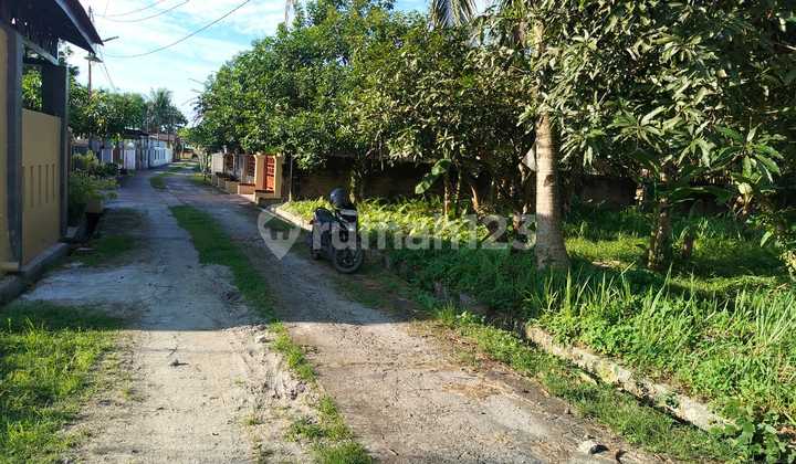 Dijual Cepat Tanah Kosong bisa untuk Bangun Rumah Dijual Cepat Tanah Kosong bisa untuk Bangun Rumah