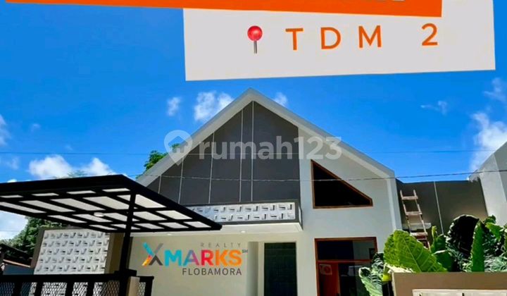 Scandinavian Tdm.2 1