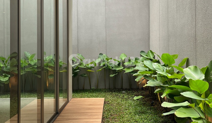 Rumah Tropical Minimalis Jarang Ada Nego 2