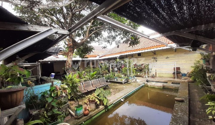 Dijual Rumah di Pusat Kota Ciamis 2