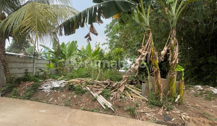 Dijuallahan Di.dalam Komplex Bumi Puspiptek Asri, Cisauk,Tangeranx