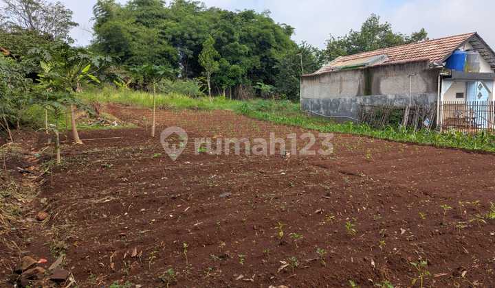Lahan 700 M² Legal SHM di Zona Pertumbuhan Cipacing Lahan 700 M² Legal SHM di Zona Pertumbuhan Cipacing