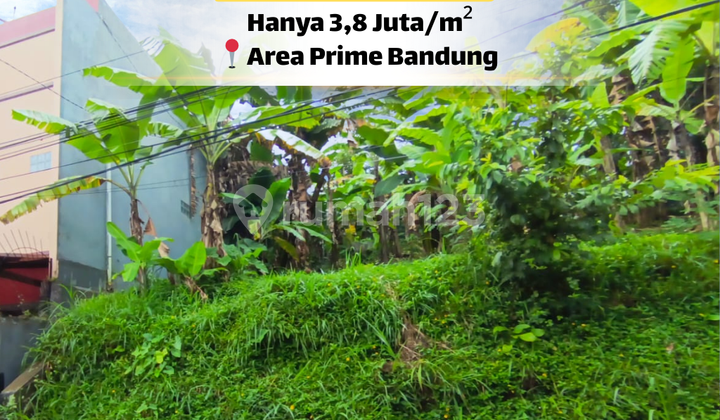 Investasi Properti Stabil - Kavling Strategis Padasuka