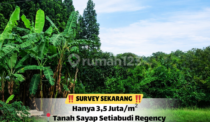 Jangan Sampai Keduluan! Tanah Strategis Setiabudi