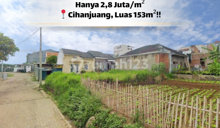 Rare Opportunity! 153 M² Freehold Land Plot Rare Opportunity! 153 M² Freehold Land Plot