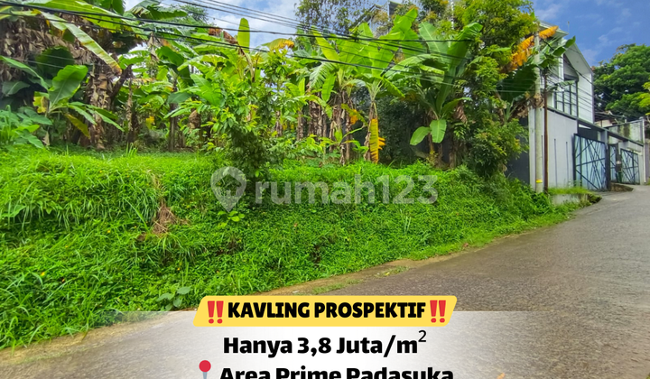 Exclusive Padasuka Land Plot - Competitive & Prospective Price