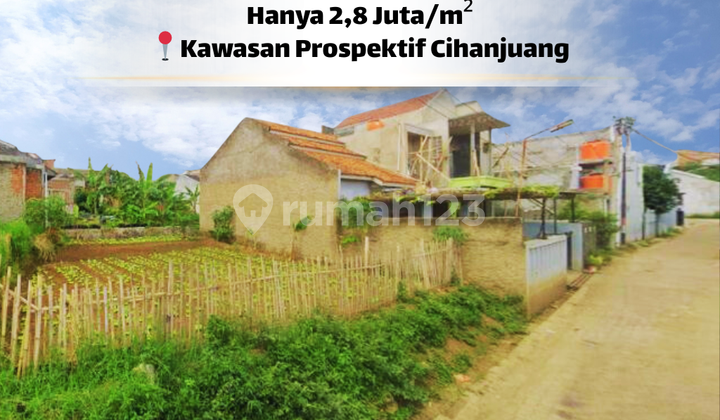 Attractive Price! 10x15 Meter Ready-to-Build Land Attractive Price! 10x15 Meter Ready-to-Build Land