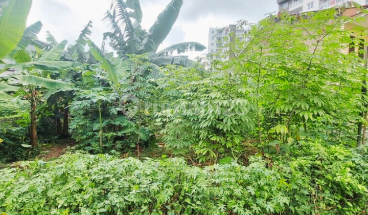 Prospective Land Near Toll Gate - High Investment Value