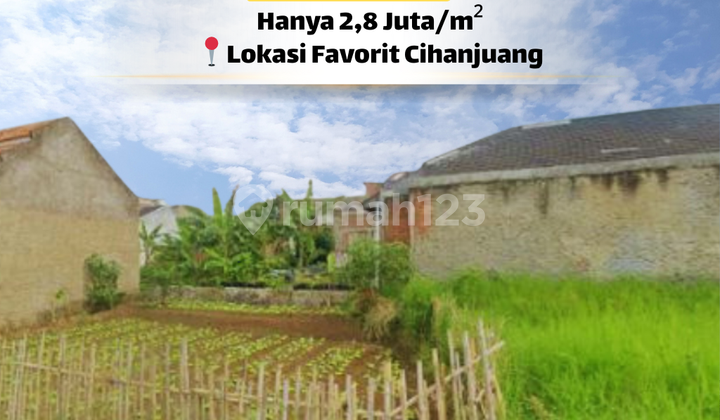 Land 153 M² Legality SHM - Ready to Become Your Dream Home