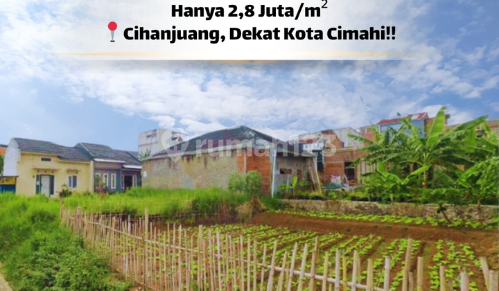 Pilihan Tepat! Tanah Ideal untuk Hunian & Investasi Cihanjuang