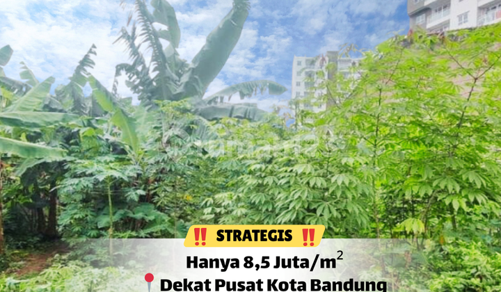 Tanah SHM 396 M² Sukaraja - Ukuran Ideal untuk Berbagai Kebutuhan Tanah SHM 396 M² Sukaraja - Ukuran Ideal untuk Berbagai Kebutuhan