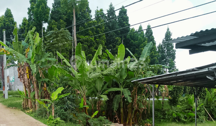 Aset Nyata di Lokasi Berkembang - 1 Kavling Tersisa