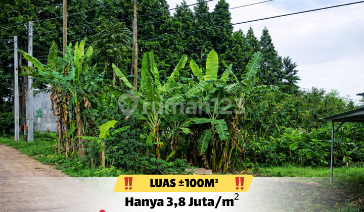 Land 100M² Near Setiabudi Campus Area Land 100M² Near Setiabudi Campus Area