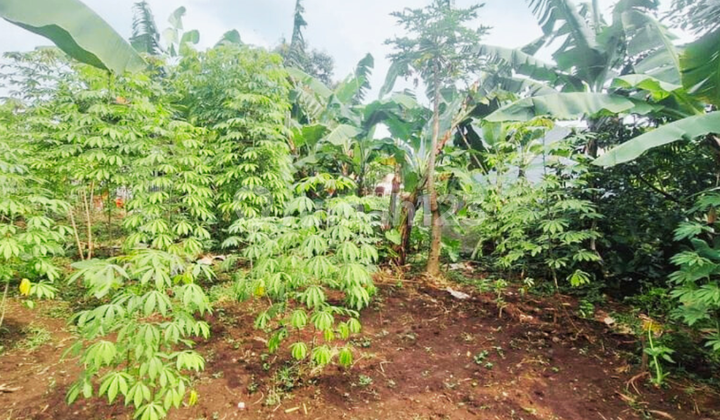 Own a Strategic 396 m² Land in Cicendo - 5 Minutes to Pasteur Toll Road!