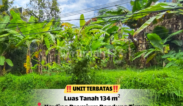 :Zap: Limited Units, First Come First Served :Zap: Limited Units, First Come First Served