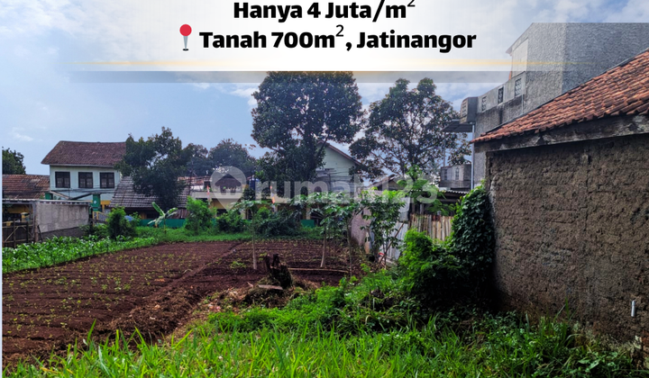 Looking for a Large Plot? Here's 700 m² Ready to Build!