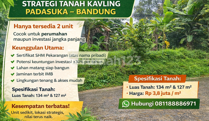 Productive Land in Bandung - High Value, Reasonable Price