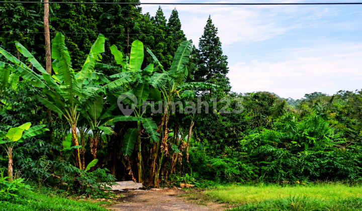 Kavling SHM Cihideung - Lingkungan Nyaman
