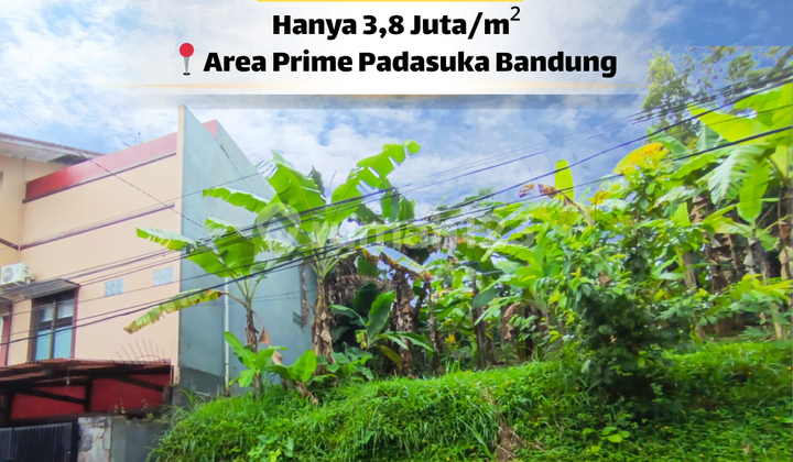 ⏳ Jangan Tunggu Harga Naik Lagi..