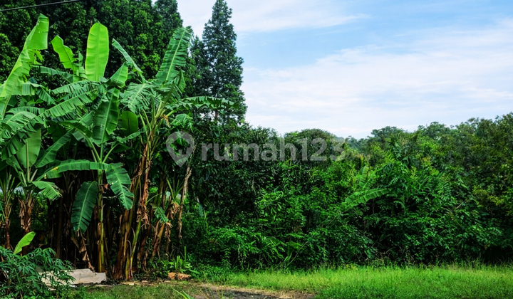Kesempatan Punya Tanah di Sayap Setiabudi
