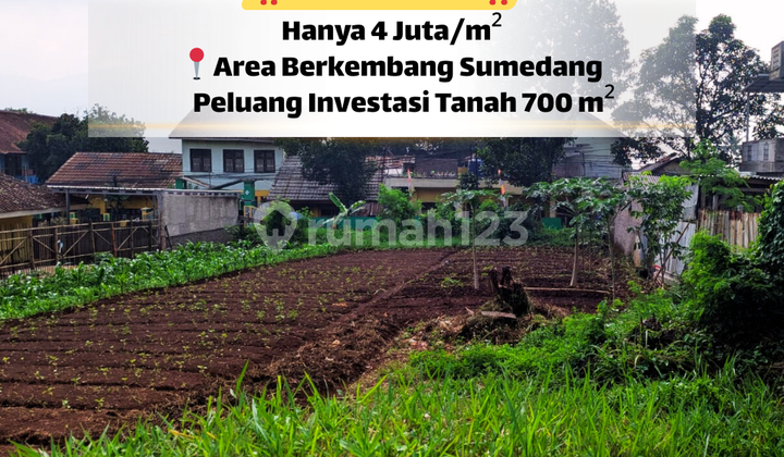 Tanah Luas 700 M² Akses Mudah di Kawasan Potensial Jatinangor