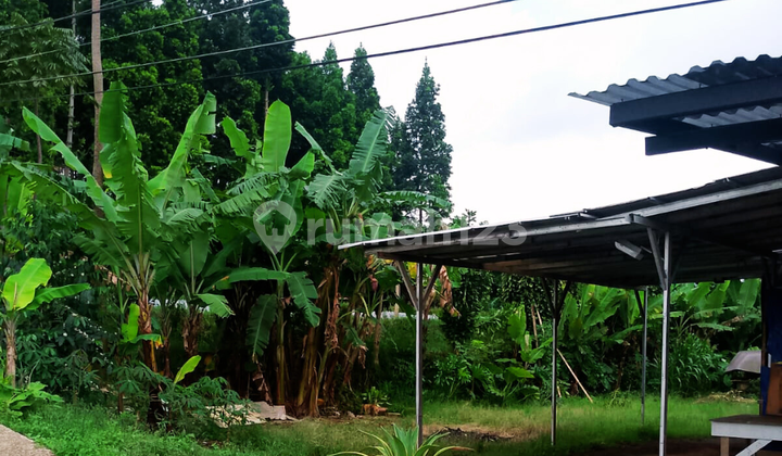 Kavling Terakhir Area Sayap Setiabudi - Siap Survey Hari Ini Kavling Terakhir Area Sayap Setiabudi - Siap Survey Hari Ini