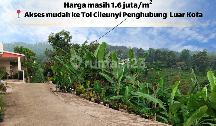 Buka Café Impian di Sini! Tanah 1.612 M² SHM Harga 1.6 Jt/M²